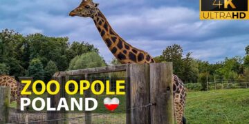 ZOO Opole
