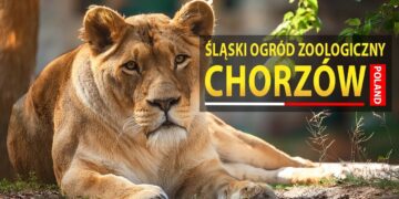 ZOO Chorzów – Śląski Ogród Zoologiczny