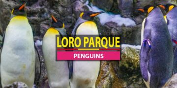 Loro Parque
