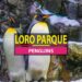 Loro Parque