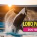 Loro Parque